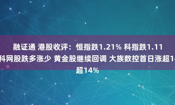 融证通 港股收评：恒指跌1.21% 科指跌1.11% 科网股跌多涨少 黄金股继续回调 大族数控首日涨超14%